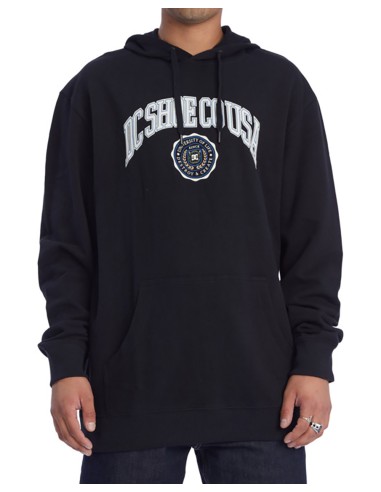 DC SHOES Life Changes - Sudadera