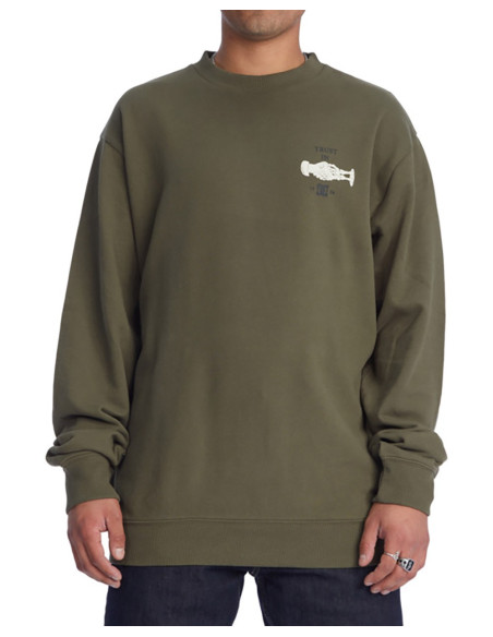 DC SHOES Trust Us - Sudadera