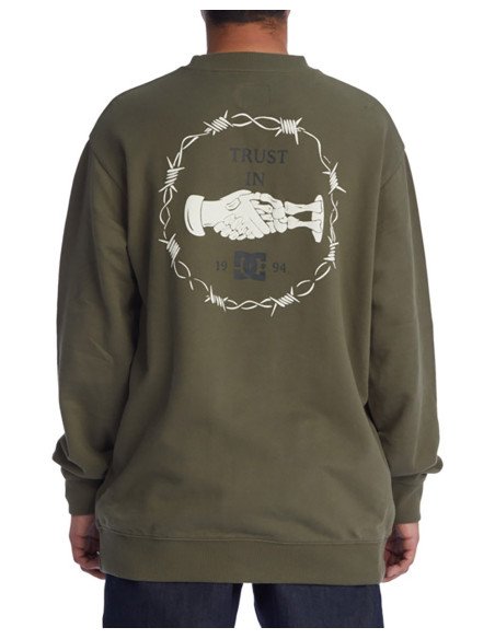 DC SHOES Trust Us - Sudadera
