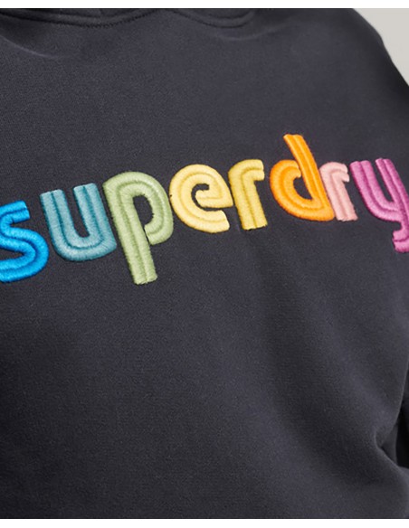 SUPERDRY Vintage Cl Rainbow Hood – Sweatshirt