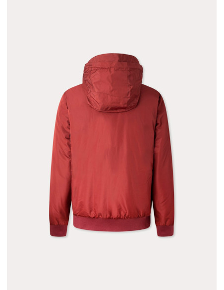 HACKETT HM402824 - Veste