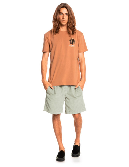 QUIKSILVER Promote The Stoke – T-Shirt