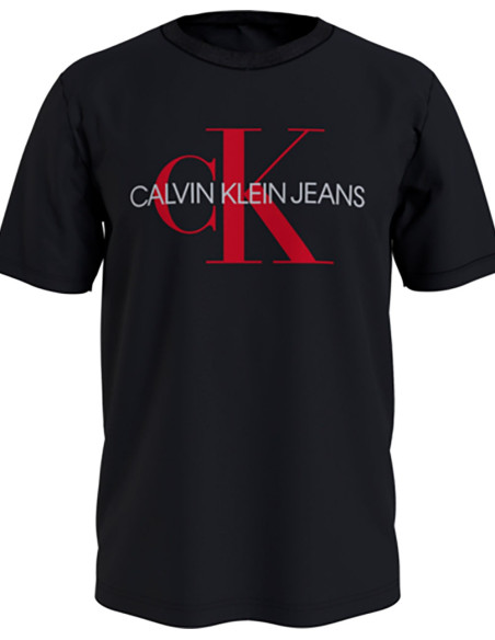 CALVIN KLEIN J30J317065 T shirt
