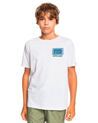 T-shirt Quiksilver Radical Roots Yth