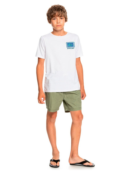 Quiksilver Radical Roots Yth T-Shirt