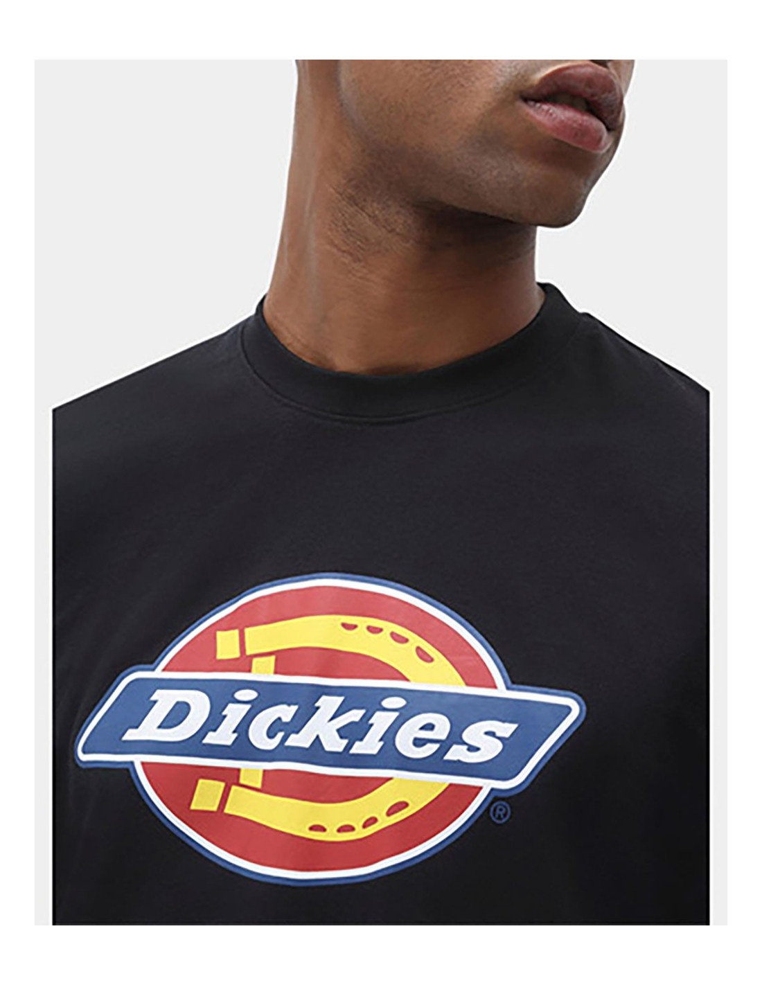 DICKIES DK0A4XC9 - T-shirt
