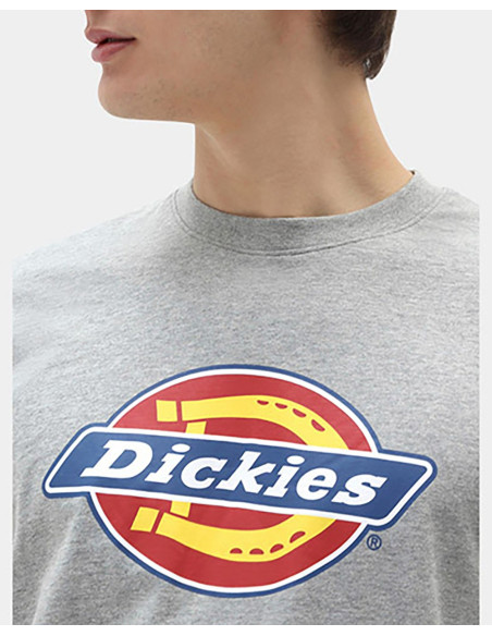 DICKIES DK0A4XC9 - Camiseta