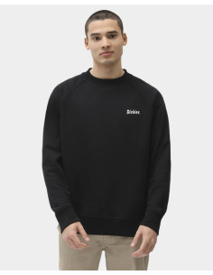DICKIES BETTLES - Sweatshirt 2