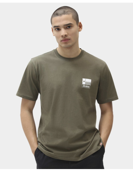 DICKIES Taylor - T-Shirt