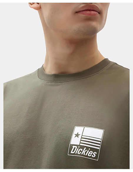 DICKIES Taylor - T-Shirt