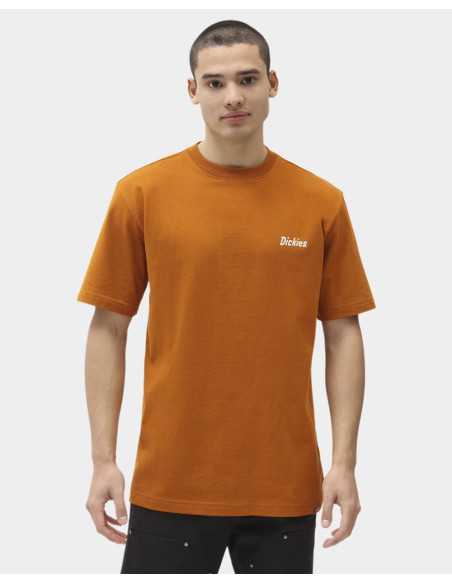 DICKIES BETTLES - Camiseta