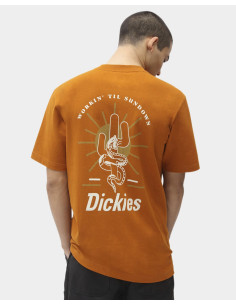 DICKIES Bettles  - Camiseta 2