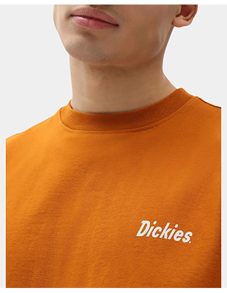 DICKIES BETTLES - T-Shirt