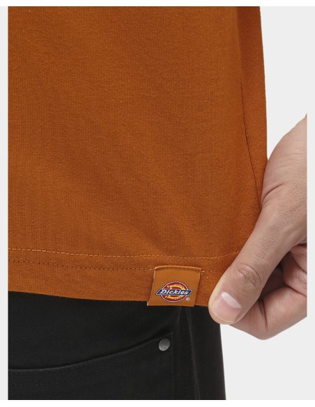 DICKIES BETTLES - T-Shirt