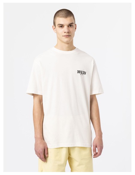 DICKIES DK0A4XO4 - Camiseta
