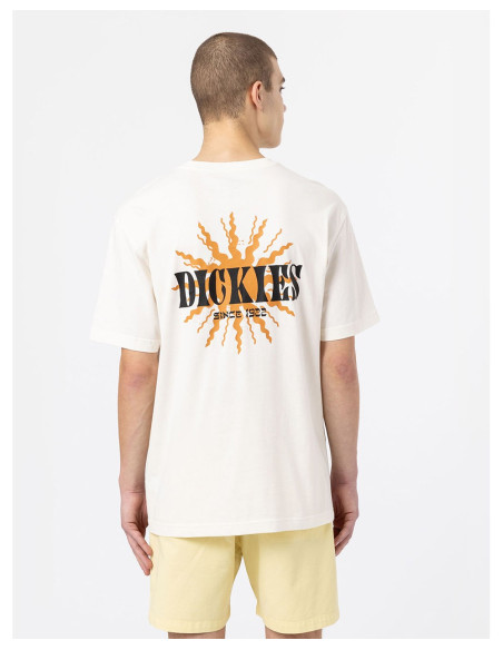 DICKIES DK0A4XO4 - T-Shirt