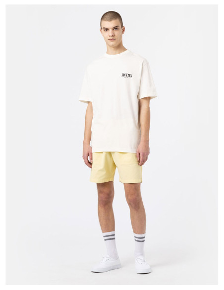 DICKIES DK0A4XO4 - T-Shirt