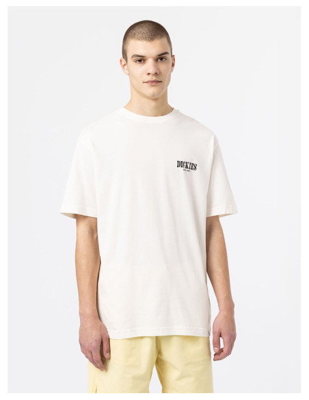 DICKIES DK0A4XO4 - T-Shirt