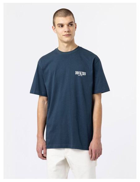 DICKIES DK0A4XO4 - T-Shirt