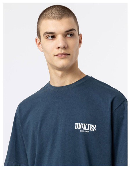 DICKIES DK0A4XO4 - T-Shirt