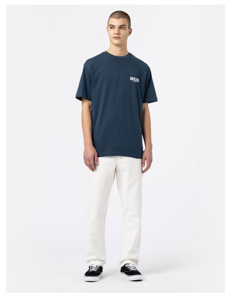 DICKIES DK0A4XO4 - T-Shirt