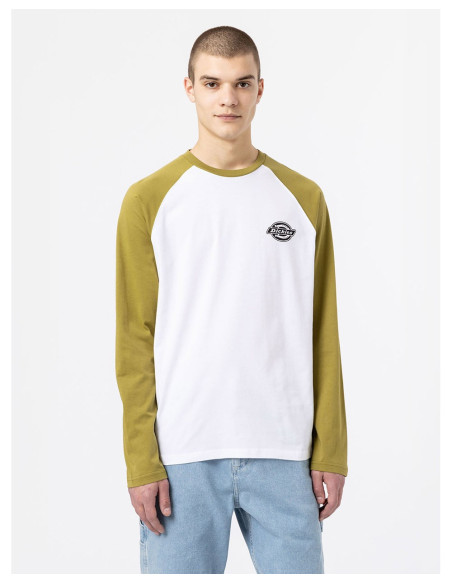 DICKIES DK0A4XDF - T-Shirt