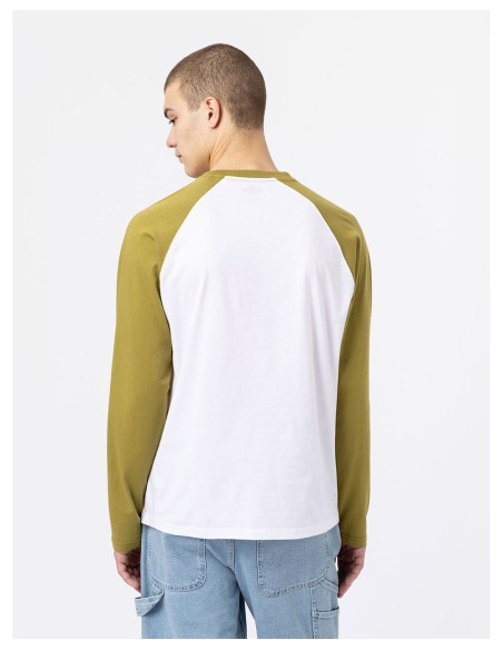 DICKIES DK0A4XDF - T-Shirt