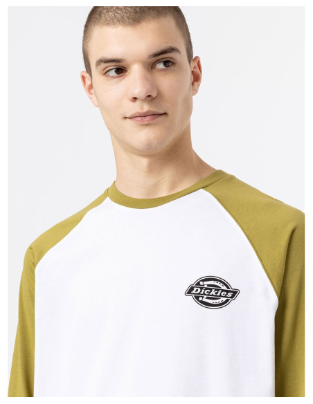 DICKIES DK0A4XDF - T-Shirt