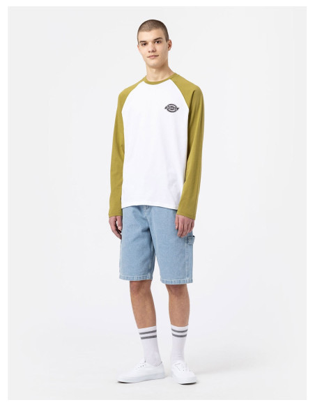 DICKIES DK0A4XDF - T-Shirt