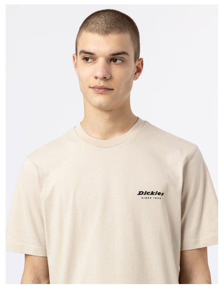 DICKIES DK0A4XNY - T-Shirt