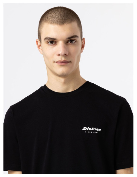 DICKIES DK0A4XNY - T-Shirt