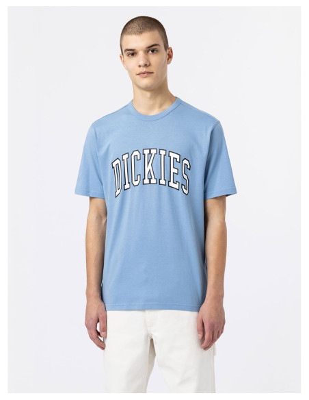 DICKIES DK0A4X9F - T-Shirt