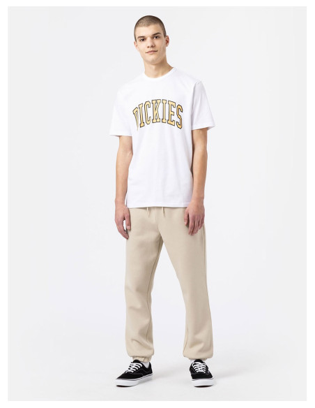 DICKIES DK0A4X9F - Camiseta