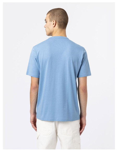 DICKIES DK0A4X9F - T-Shirt