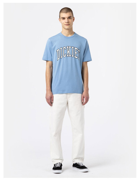 DICKIES DK0A4X9F - T-Shirt