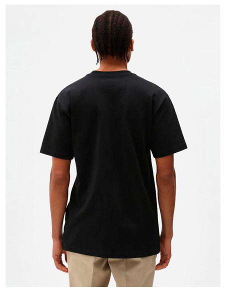 DICKIES DK0A4X9O - T-Shirt