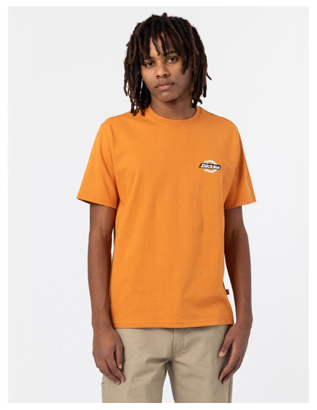 DICKIES DK0A4XDC - Camiseta