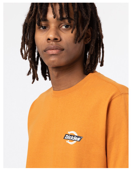 DICKIES DK0A4XDC - T-Shirt