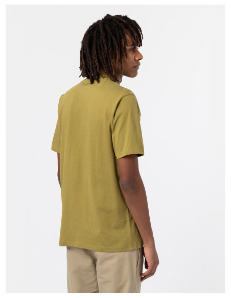 DICKIES DK0A4XC9 - T-Shirt