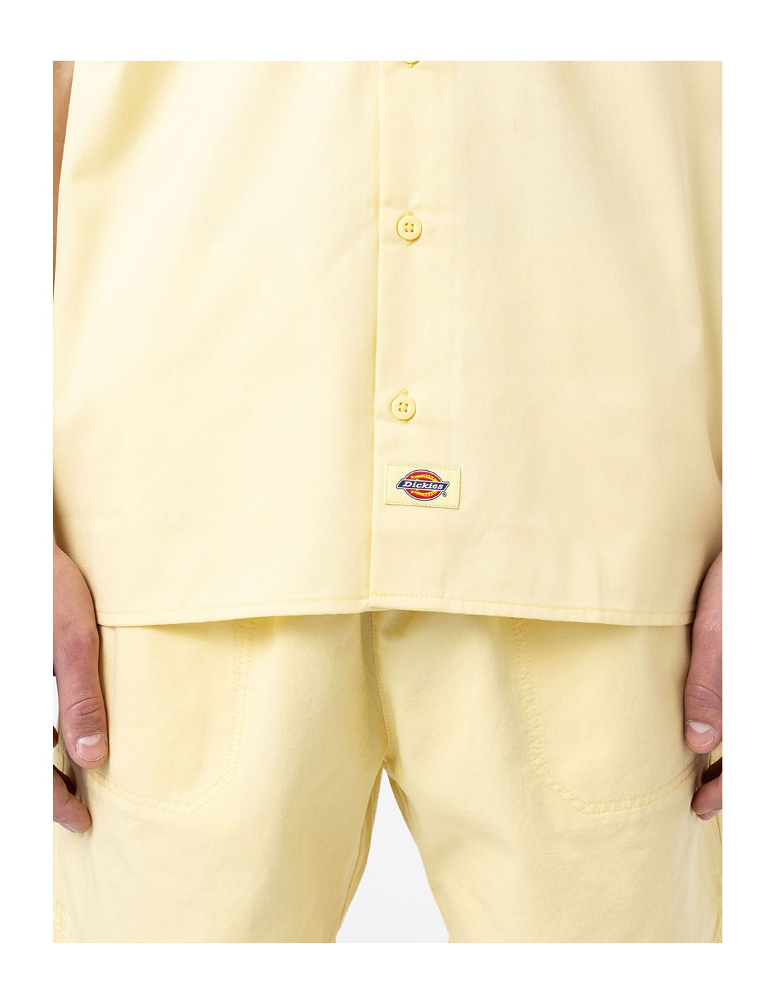 DICKIES DK0A4XK7 - Shirt