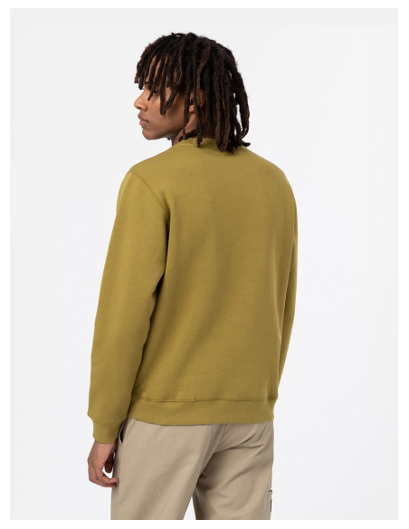 DICKIES DK0A4XCE - Sweatshirt