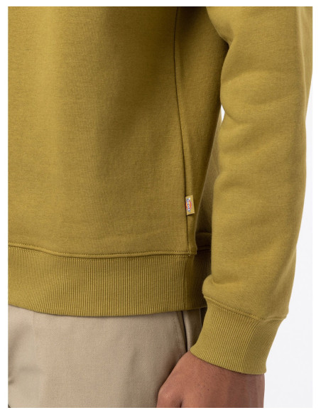 DICKIES DK0A4XCE - Sweatshirt