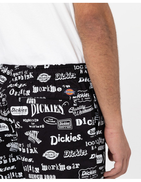 DICKIES DK0A4XON – Shorts