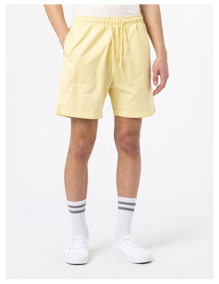 DICKIES DK0A4XB2 – Kurz