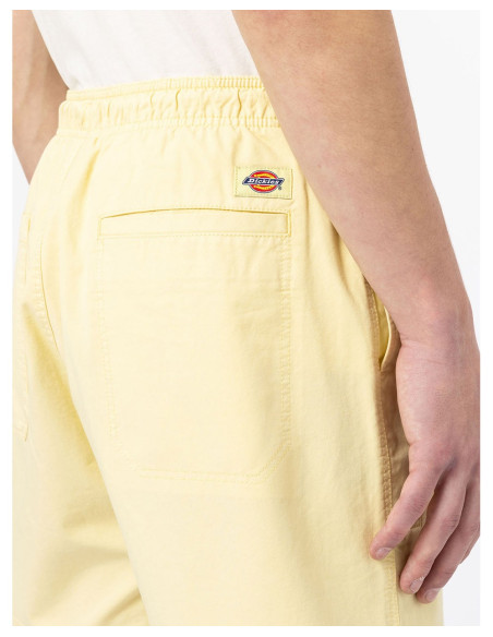 DICKIES DK0A4XB2 – Kurz