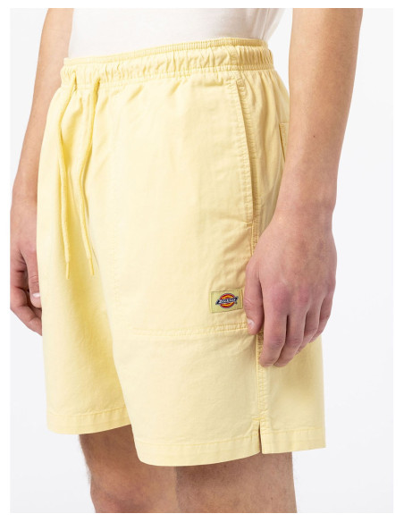 DICKIES DK0A4XB2 – Kurz