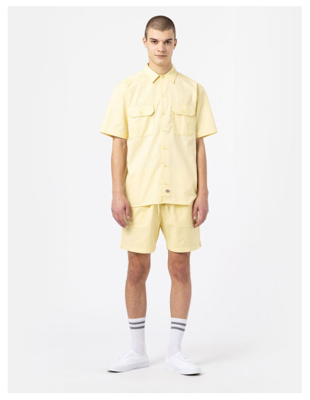 DICKIES DK0A4XB2 – Kurz