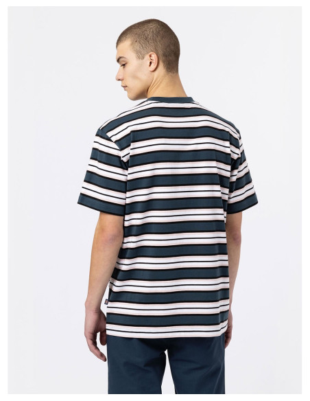 DICKIES DK0A4XPC - T-Shirt