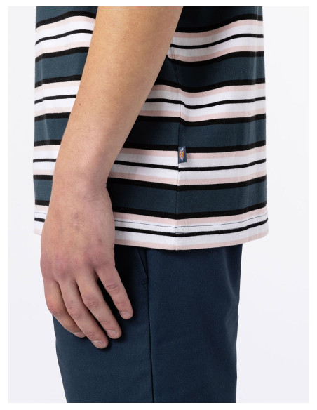 DICKIES DK0A4XPC - Maglietta
