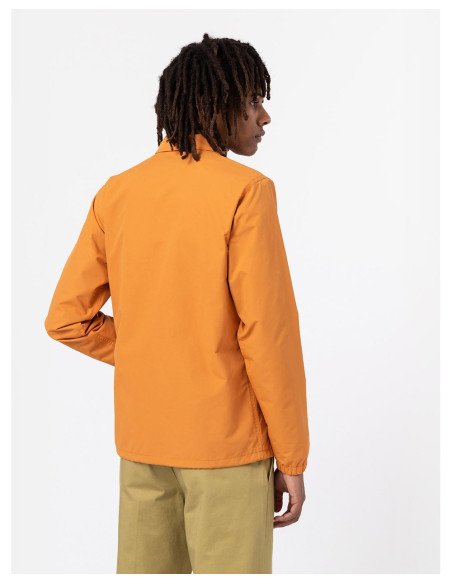 DICKIES DK0A4XEW - Veste